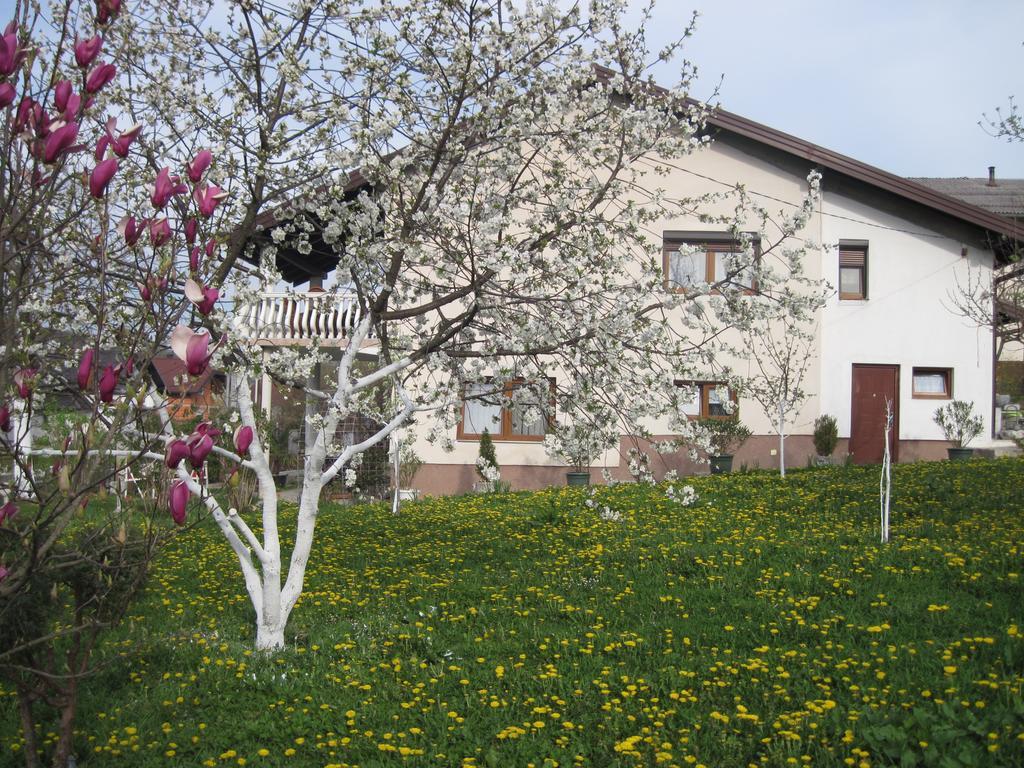 Apartment Yasica Izacic Exterior photo