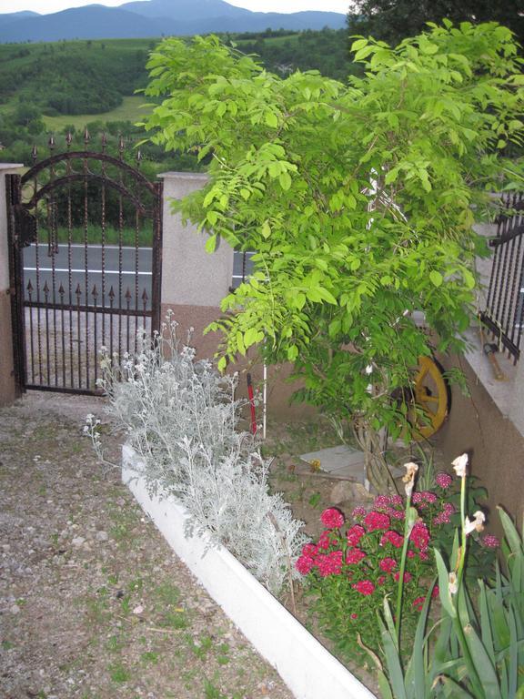 Apartment Yasica Izacic Exterior photo
