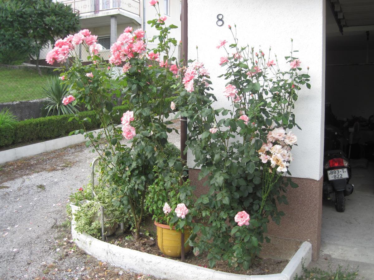Apartment Yasica Izacic Exterior photo